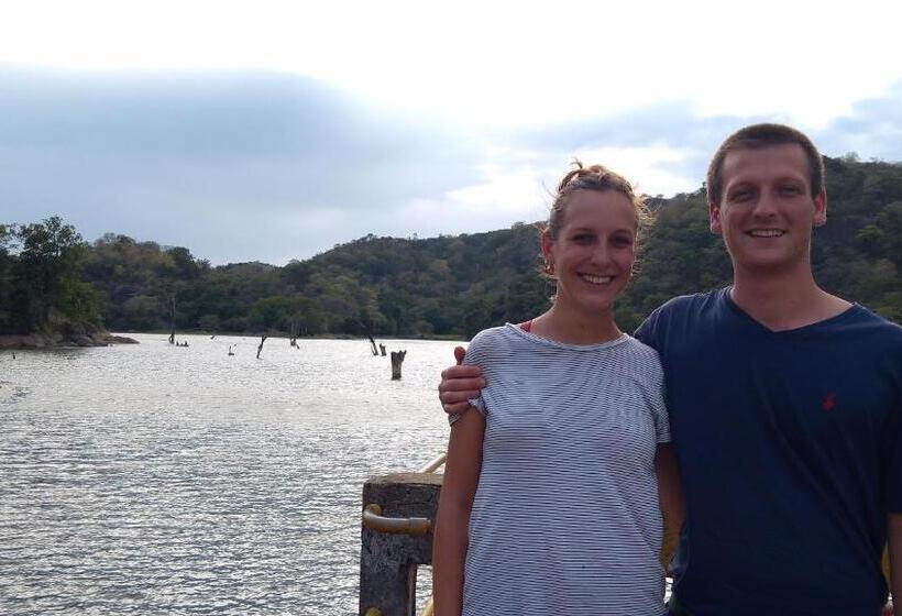 膳宿费 Spice Garden   Wellawaya