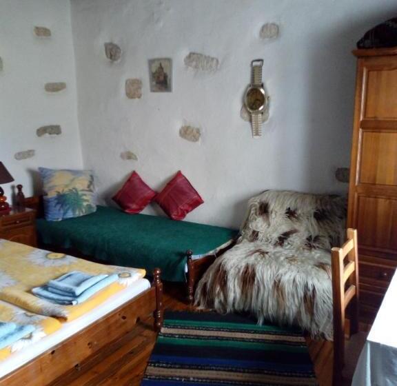 פנסיון Srebren Rural House