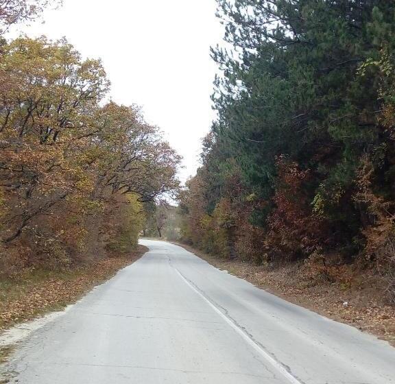 פנסיון Srebren Rural House