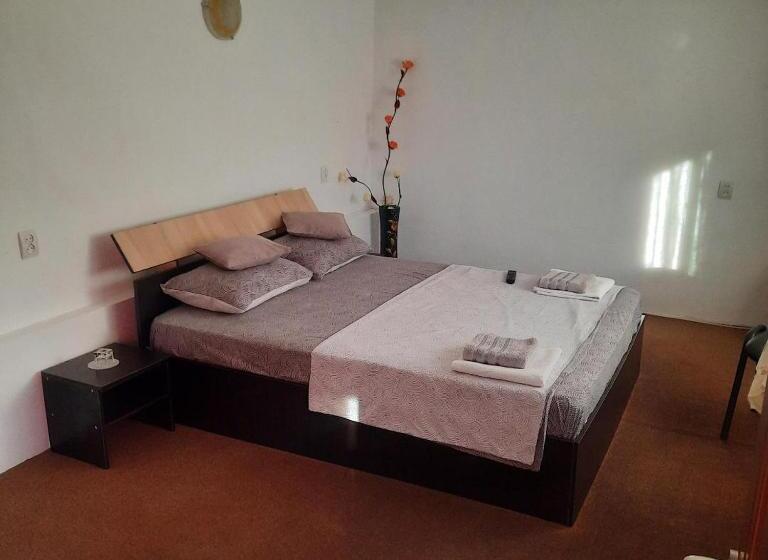 膳宿费 Summer Garden Baile Herculane