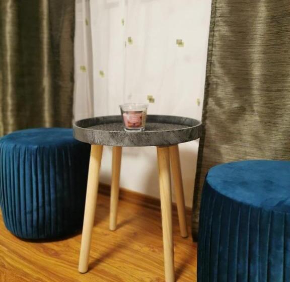 膳宿费 Summer Garden Baile Herculane