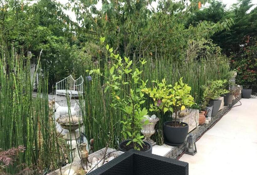 بنسيون Tercier De Vigne