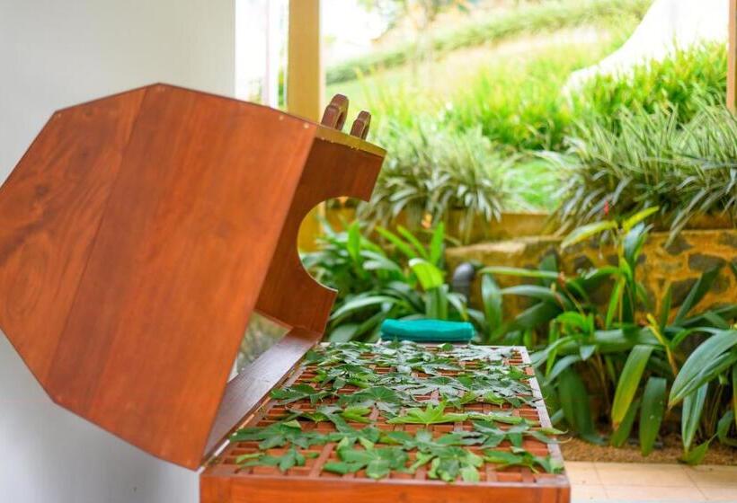 Silent Garden Ayurveda Health Resort