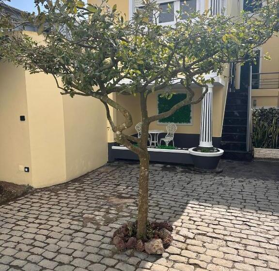 Azor International Hostel