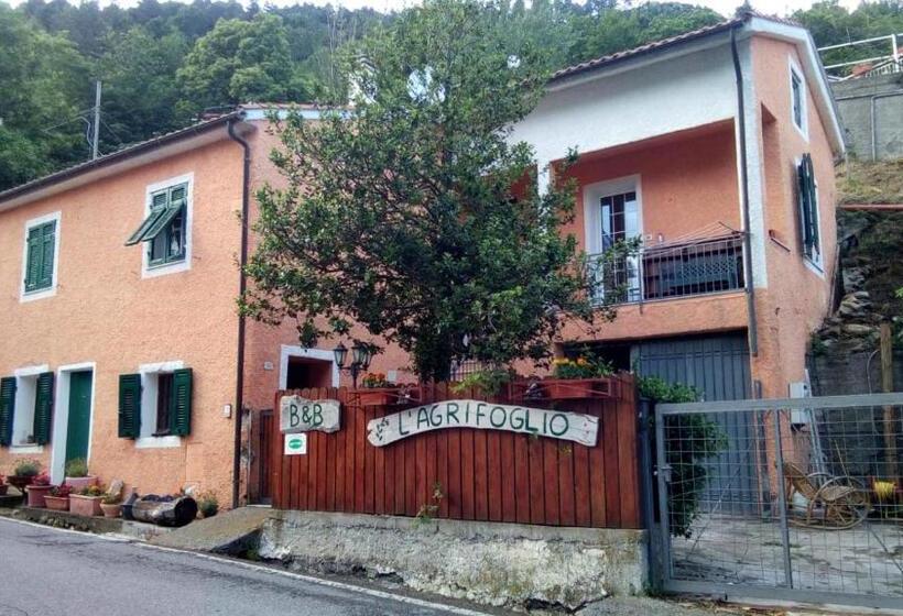 Bed and Breakfast Casa Vacanze L Agrifoglio