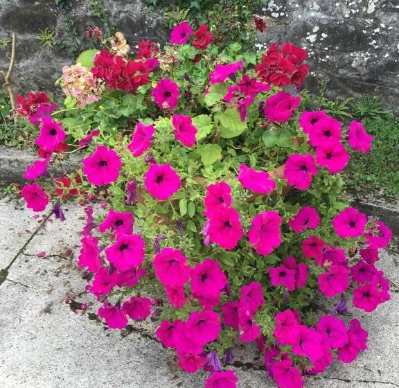 住宿加早餐  Chateau Anaselle