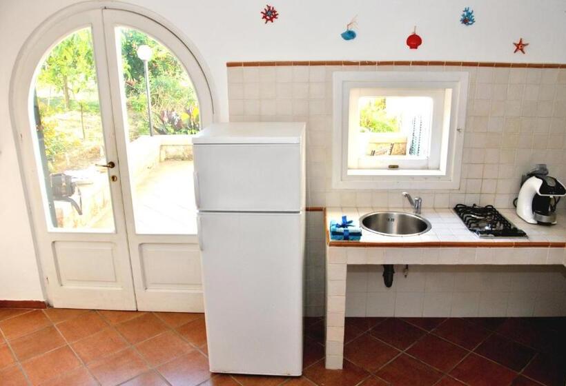 住宿加早餐 Guest House Il Comandante