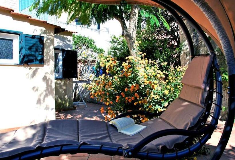 住宿加早餐 Guest House Il Comandante