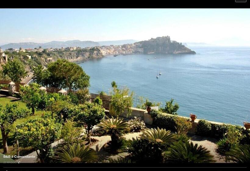 住宿加早餐 Guest House Il Comandante