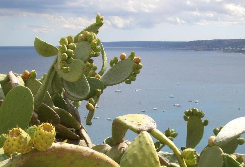 צימר I Pizzicati