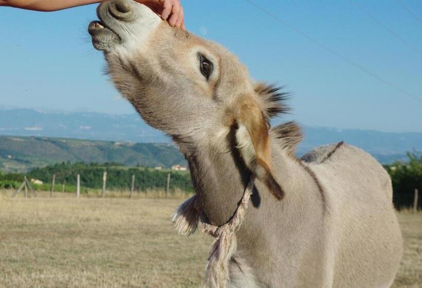 ベッドアンドブレックファースト La Maison Dans Les Nuages
