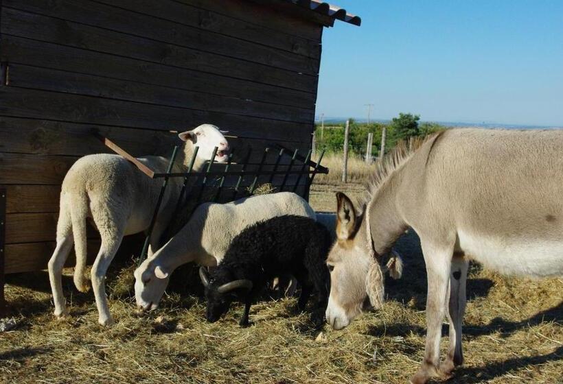 Bed and Breakfast La Maison Dans Les Nuages