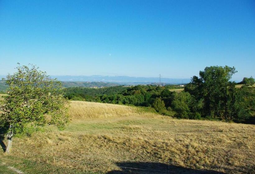 ベッドアンドブレックファースト La Maison Dans Les Nuages