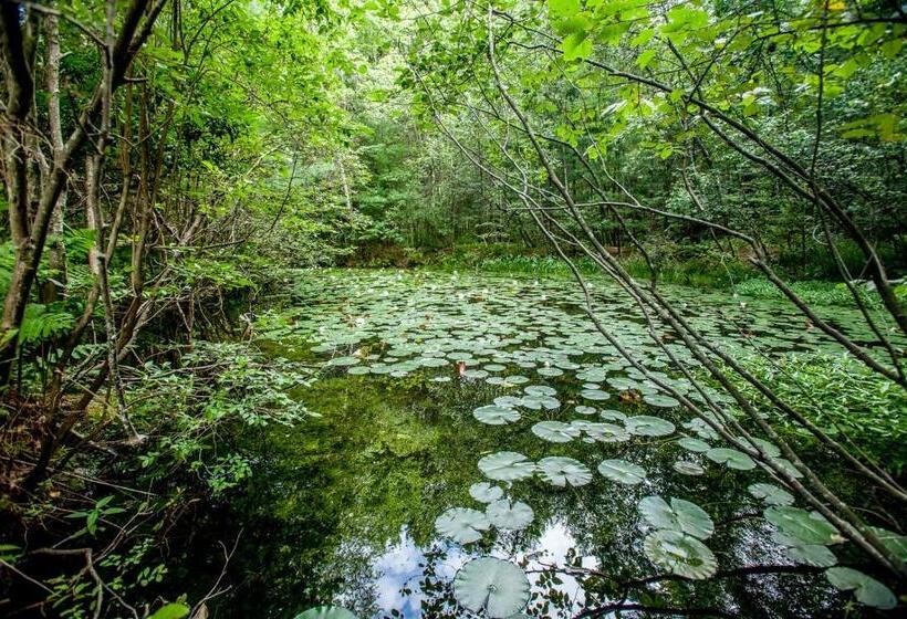 Bed and Breakfast The Tartan Fox At The Meadmere