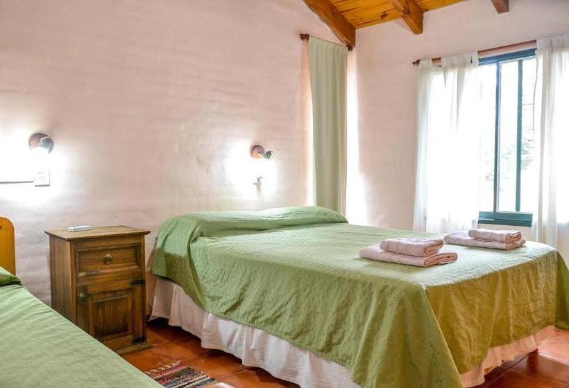 Cabañas Verde Y Blanco