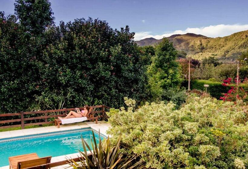 Cabañas Verde Y Blanco