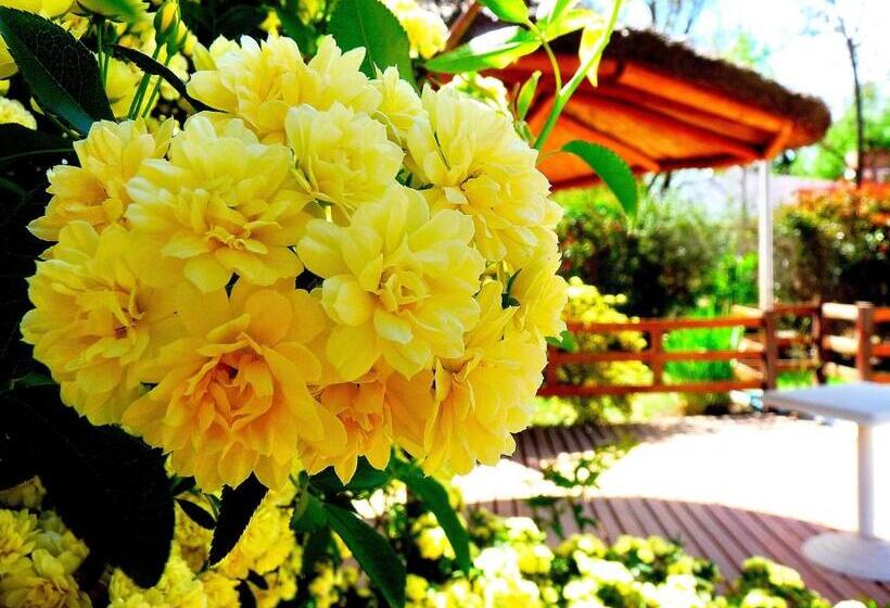 Cabañas Verde Y Blanco