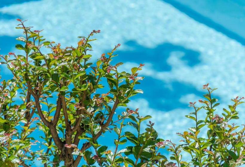 Ferienwohnungen Sonnenburg