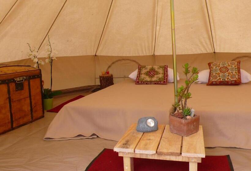 Отель Alpagas Du Quercy