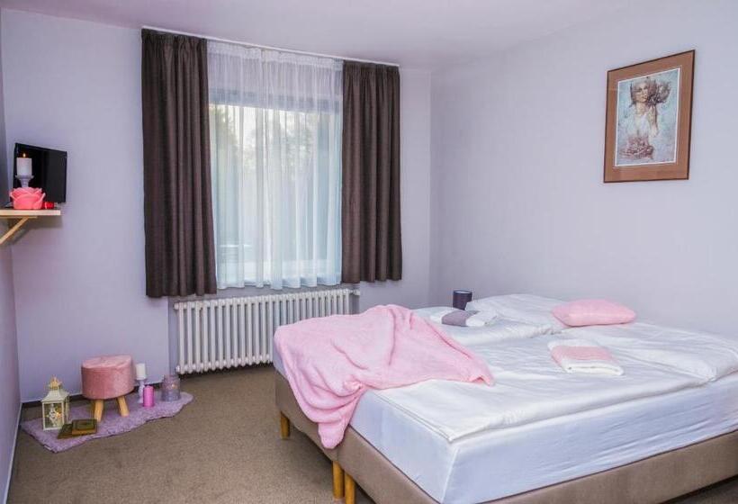 בית מלון כפרי Salaš