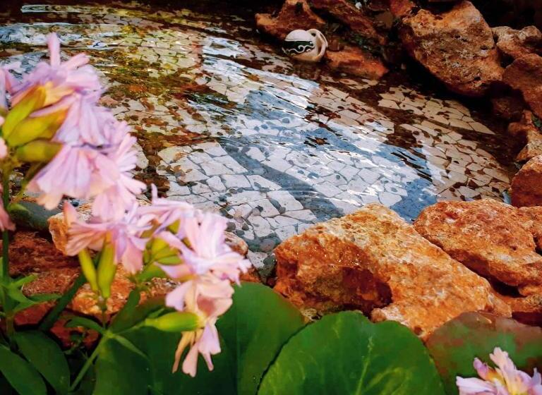 پانسیون Guest House Barkhat