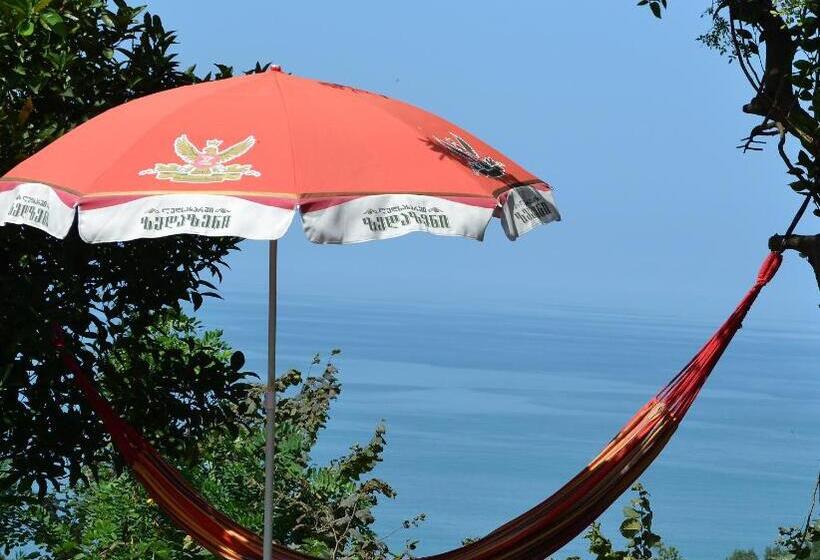 پانسیون Medea S Guest House