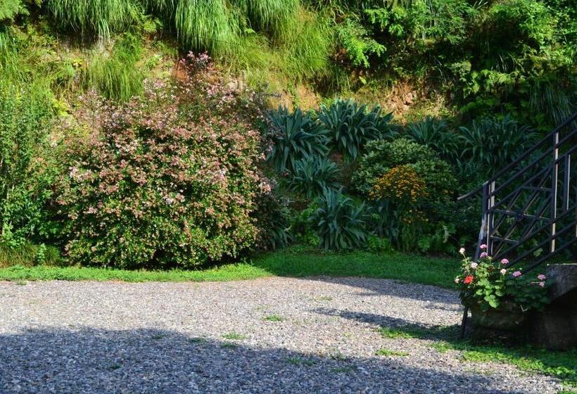 پانسیون Medea S Guest House