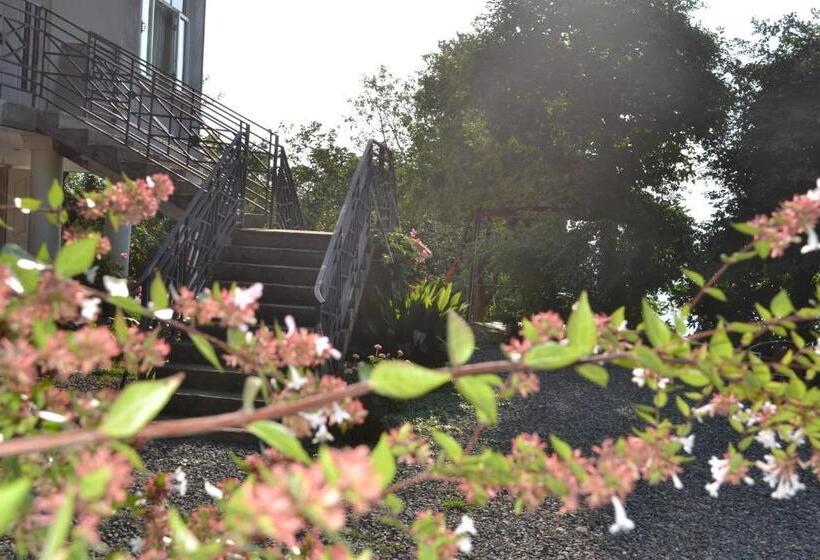 پانسیون Medea S Guest House