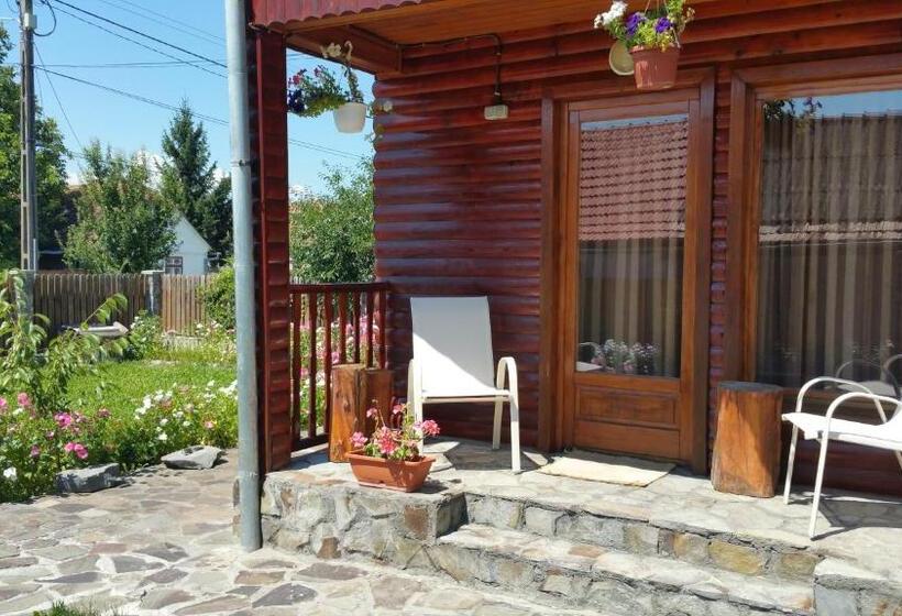 بنسيون Residence Homorod