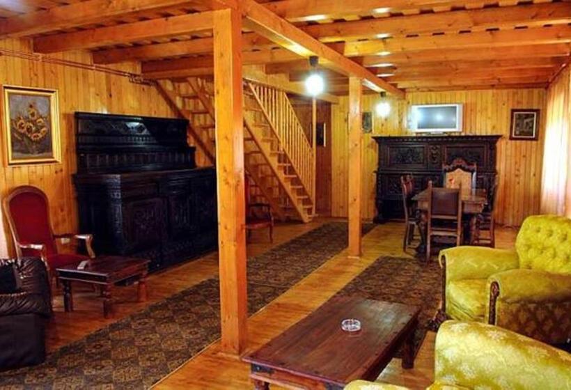 ペンション Residence Homorod