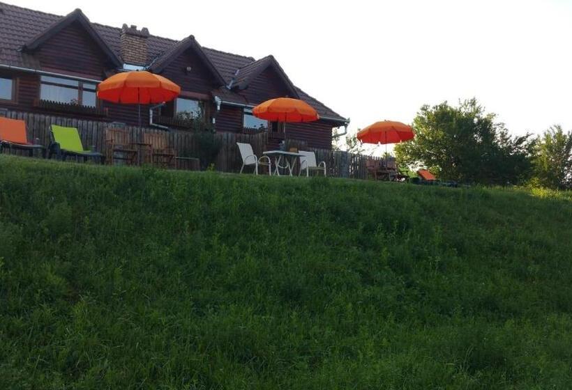 פנסיון Residence Homorod