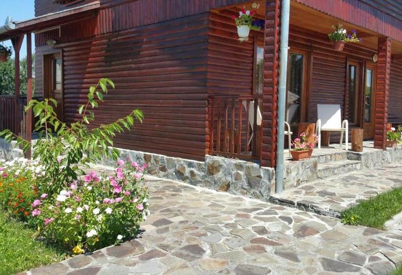 بنسيون Residence Homorod