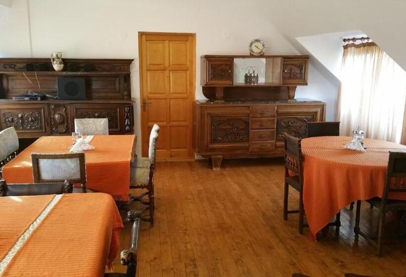 ペンション Residence Homorod