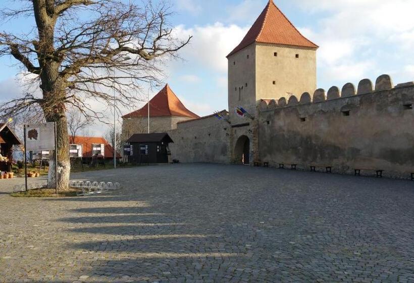 פנסיון Residence Homorod