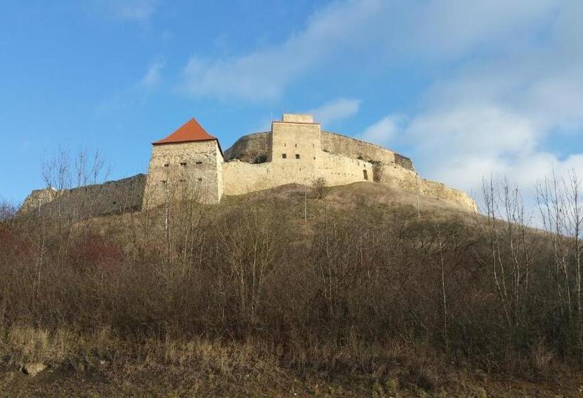 פנסיון Residence Homorod