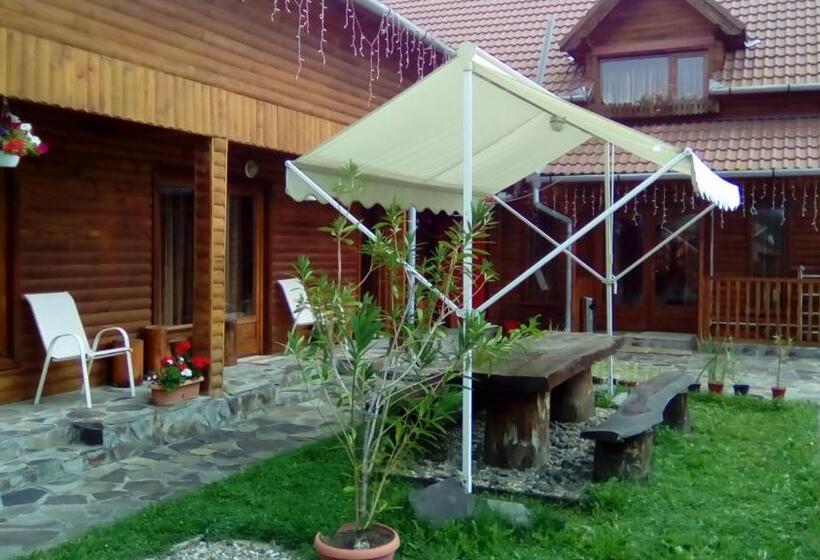 פנסיון Residence Homorod