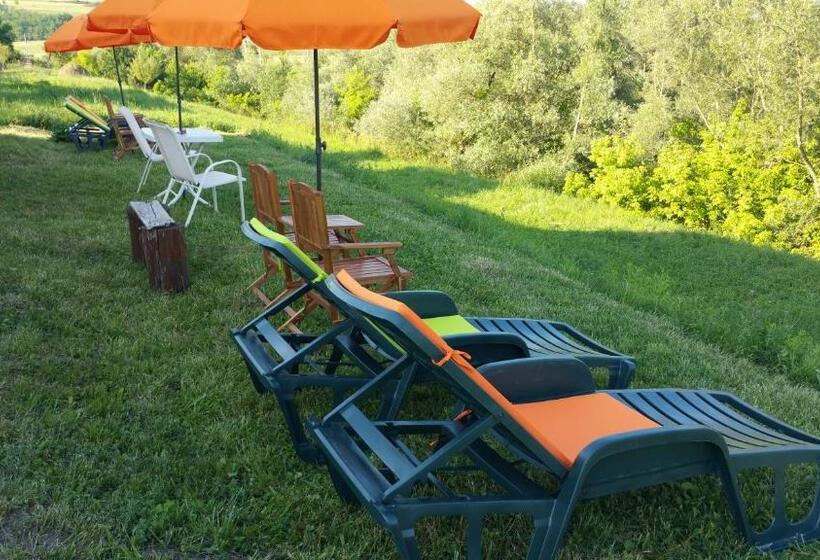 פנסיון Residence Homorod