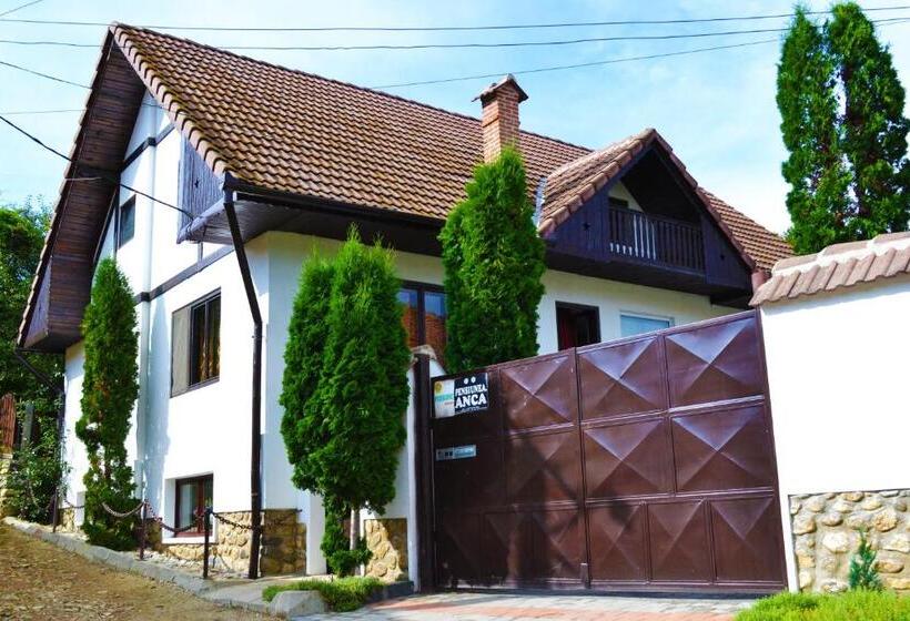Pensiunea Anca Sibiel