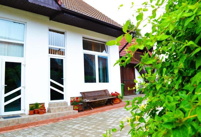 Pensiunea Anca Sibiel