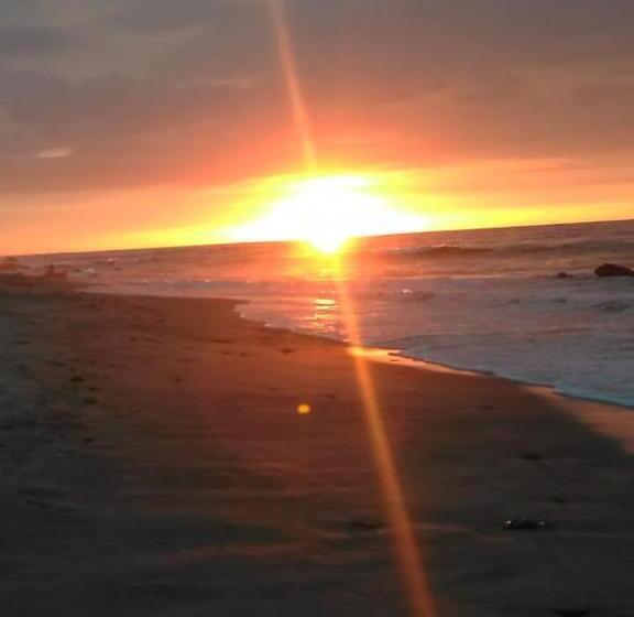 ホテル Waltako Beach Culture