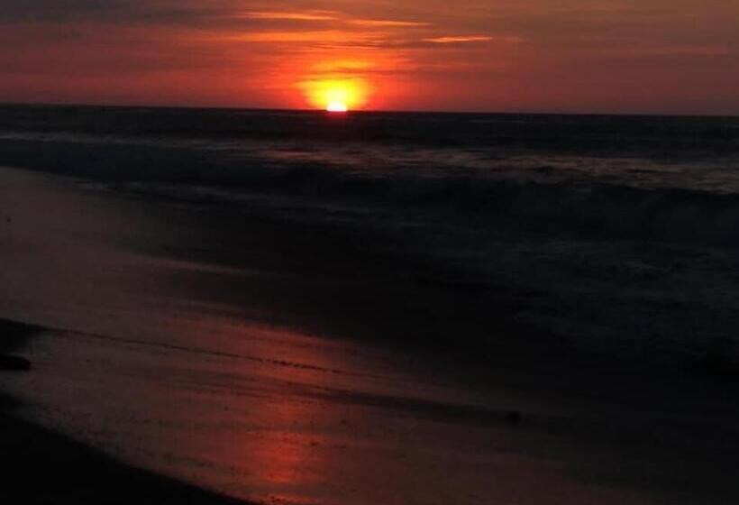 בית מלון כפרי Waltako Beach Culture