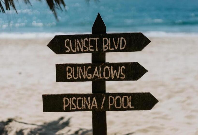 בית מלון כפרי Waltako Beach Culture