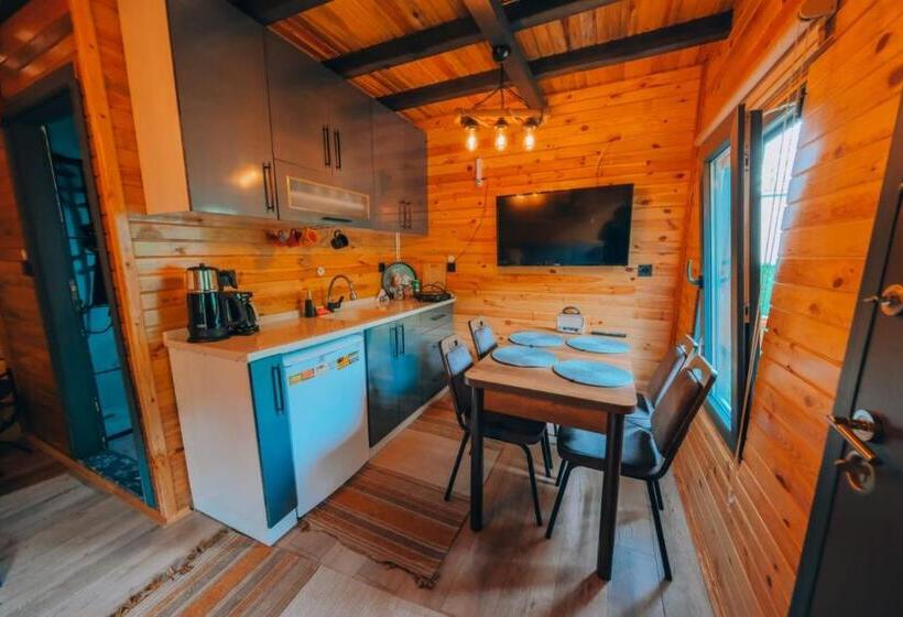 펜션 Sapanca Green Garden Tuna Ev Bungalov