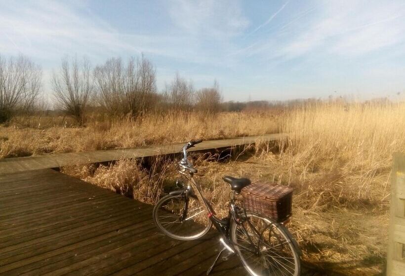 B&b De Stuifduinen