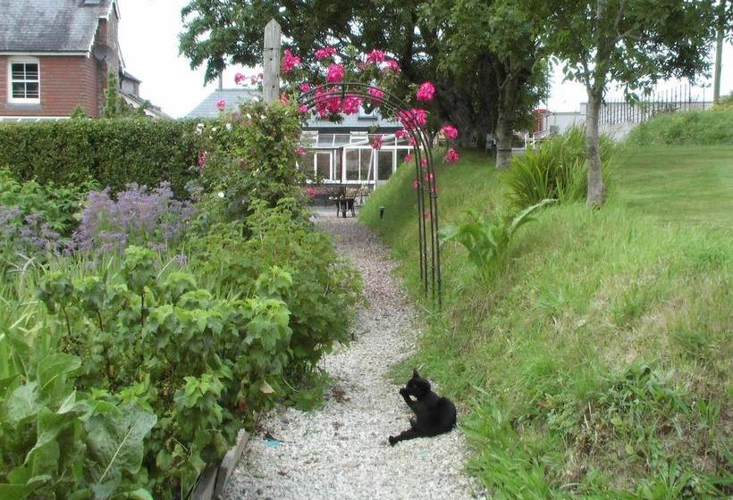 צימר Bangors Organic