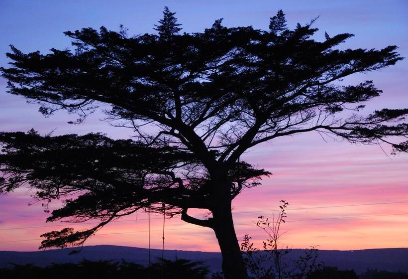 צימר Bangors Organic