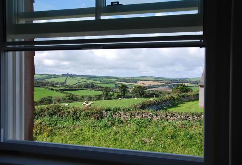 צימר Bangors Organic