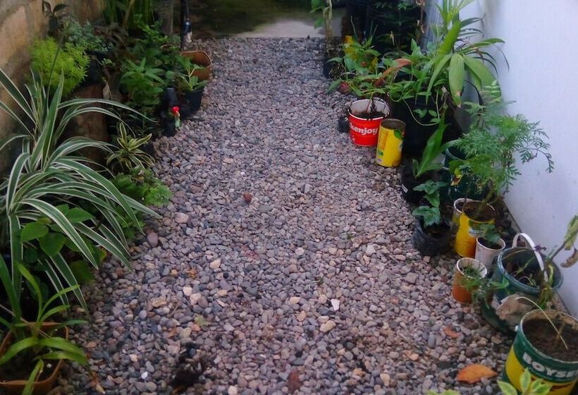 تختخواب و صبحانه Open Doors Haven