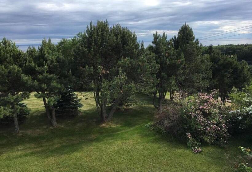 مبيت وإفطار Seaview White House