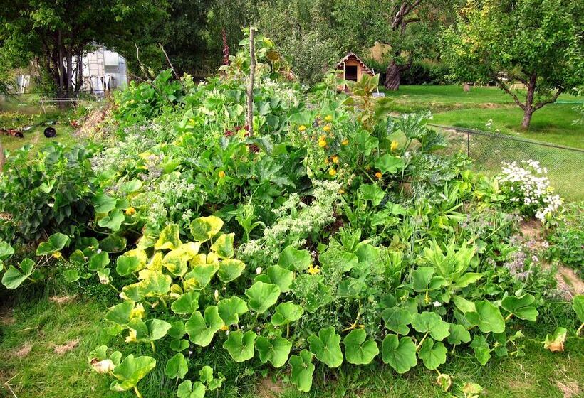 住宿加早餐 Två Ekar Gård